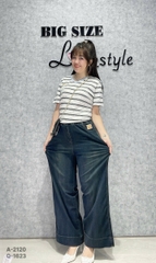 1623 Q.Suông LT 00360