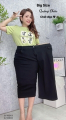 S-25--16243 Q.Lửng 00345- ĐEN