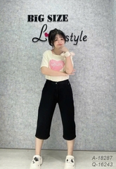 S-25--16243 Q.Lửng 00345- ĐEN