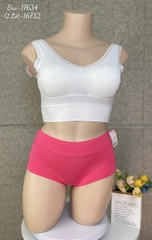 16732 Q.lót trơn - HỒNG CÁNH SEN