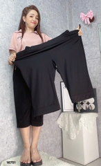 S-0020--16751 Q.Lửng 00272 Trơn