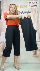 S-0020--16751 Q.Lửng 00272 Trơn