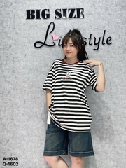 1678 A.sọc thêu Meo- giữa 00288