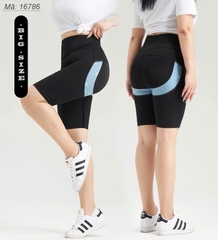 16786 Q.Leg 00180 ngố LC