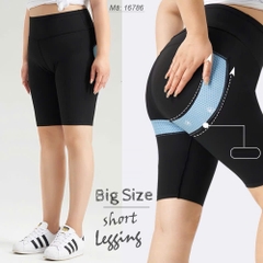 16786 Q.Leg 00180 ngố LC