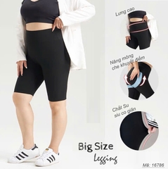 16786 Q.Leg 00180 ngố LC