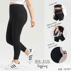 16787 Q.Leg T20 trơn 00198 lưng cao