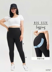 16787 Q.Leg T20 trơn 00198 lưng cao