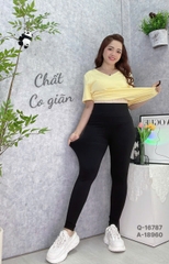 S-0020--16787 Q.Leg T20 trơn 00196 lưng cao