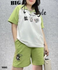 1680 Ss.polo Meo- 00450