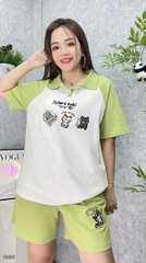 S-20-1680 Ss.polo Meo- 00400