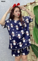 S-0020--16920 SS.DAI MÈO- 00248