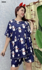 S-0020--16920 SS.DAI MÈO- 00248