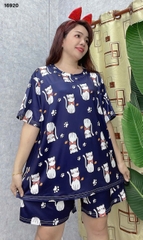 S-0020--16920 SS.DAI MÈO- 00248