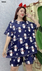 S-0020--16920 SS.DAI MÈO- 00248