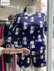 Đồ bộ mặc nhà BIG SIZE hoạ tiết Mèo SS-DAI- 00243- 16920