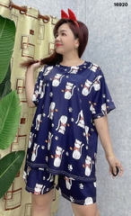 S-0020--16920 SS.DAI MÈO- 00248