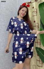 S-0020--16920 SS.DAI MÈO- 00248