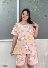 S-0020--16960- SS.DAI Thỏ Trứng 00220