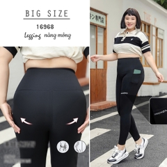 16968 Q.Leg T26- 00198 Túi