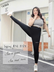 16968 Q.Leg T26- 00198 Túi