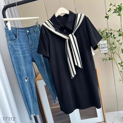 17112 Đầm D.suông TT 00360