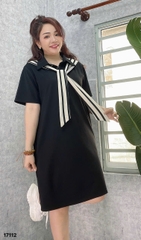 S-0020-- 17112 Đầm D.suông TT 00388