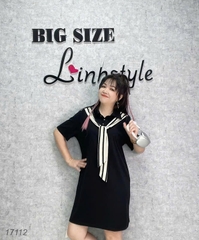 17112 Đầm D.suông TT 00360