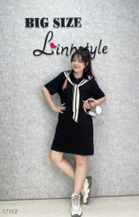 17112 Đầm D.suông TT 00360