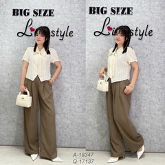 17137 Q.tây 00342 suông 3097- NÂU