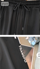 17209 Q.TT 00270 TRANS