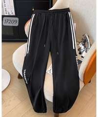 17209 Q.TT 00270 TRANS