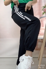 17209 Q.TT 00270 TRANS