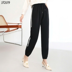 17209 Q.TT 00270 TRANS