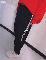 17209 Q.TT 00270 TRANS