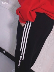 17209 Q.TT 00270 TRANS