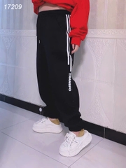 17209 Q.TT 00270 TRANS