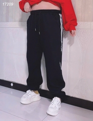 17209 Q.TT 00270 TRANS