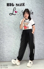 17209 Q.TT 00270 TRANS