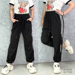 17209 Q.TT 00270 TRANS