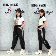 17209 Q.TT 00270 TRANS