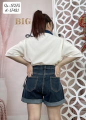 17275 Qs.LB mạc nhỏ - 00288- XANH XÁM