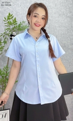 S-30--17311 SM TN 00252 XANH
