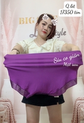 Quần lót chip BIG SIZE thun lưới ĐẠI 17350 TÍM