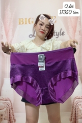 Quần lót chip BIG SIZE thun lưới ĐẠI 17350 TÍM