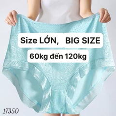Quần lót chip BIG SIZE thun lưới ĐẠI 17350 XANH
