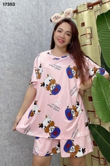 S-0020--17353- SS.DAI 00248- Bò