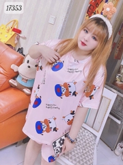 17353 SS.DAI 00243 Bò