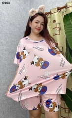 S-0020--17353- SS.DAI 00248- Bò