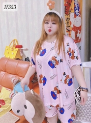 17353 SS.DAI 00243 Bò